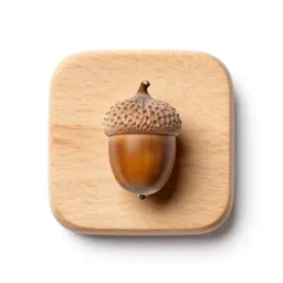 Acorn