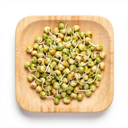 Alfalfa sprout