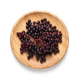 Elderberry