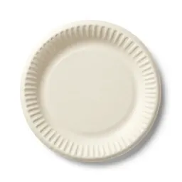 Paper plate