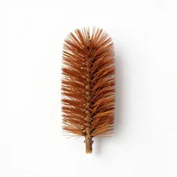 Rabbit brush