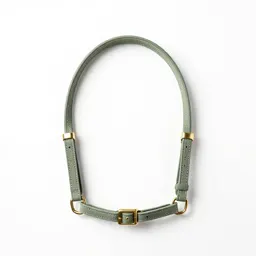 Bridle with brass fittings