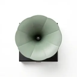 Phonograph with a horn