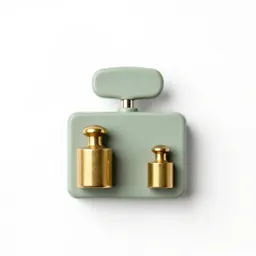Scale with brass weights