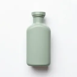 Ship in a bottle