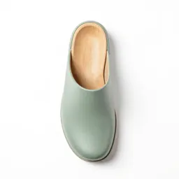 Wooden shoe last