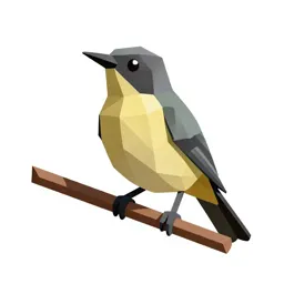 Bellbird on a branch