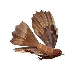 Fantail with its tail spread