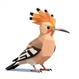 Hoopoe with its crest raised