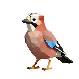 Jay with acorn