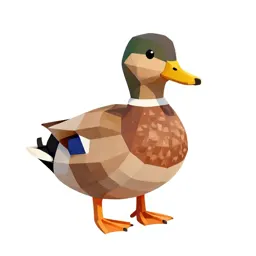 Mallard duck