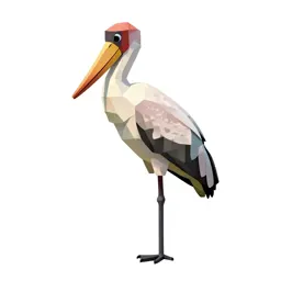 Shoebill stork