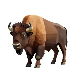 Bison