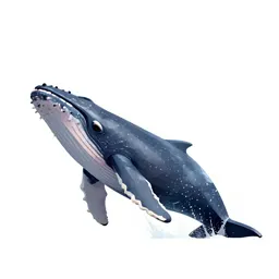 Humpback whale breaching