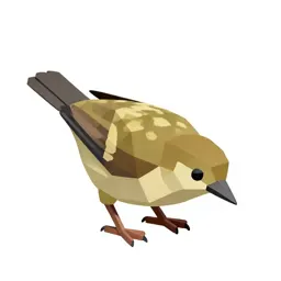 Kiwi bird foraging
