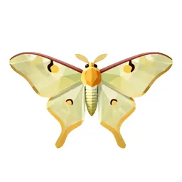 Luna moth