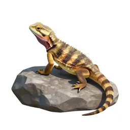 Tuatara on a rock