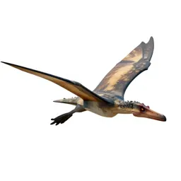 Pteranodon gliding