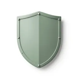 Wooden shield with an iron boss