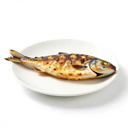 Grilled fish on a plate