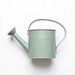 Galvanised watering can