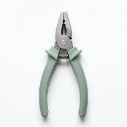 Pair of loppers