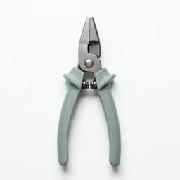 Pair of secateurs