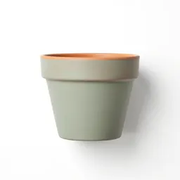 Terracotta plant pot