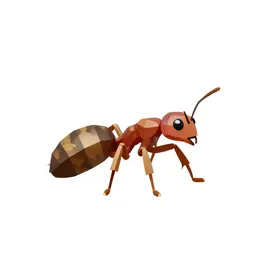 Bullet ant