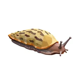 Garden slug