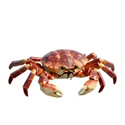 Horseshoe crab