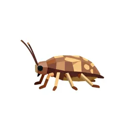 Springtail