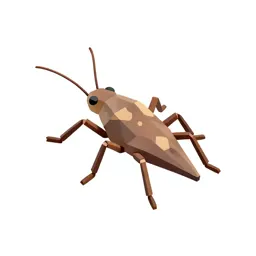 Water strider