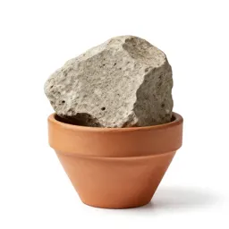 Chunk of pumice