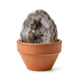Geode with calcite