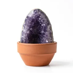 Amethyst geode half