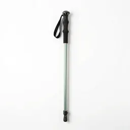 Trekking pole