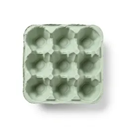 Moulded pulp egg carton