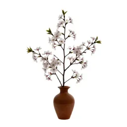 Cherry blossom branch