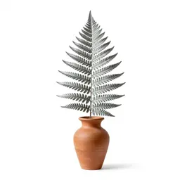 Silver fern frond