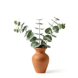 Sprig of eucalyptus