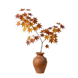 Autumn maple branch