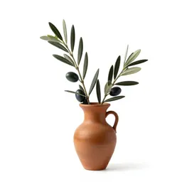 Olive branch