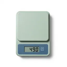 Analytical balance