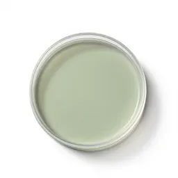 Petri dish stack