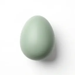 Xeno egg casing