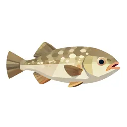Barreleye fish