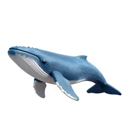 Blue whale