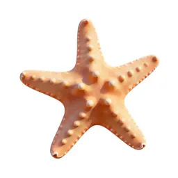 Brittle star