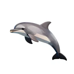 Dolphin mid-leap